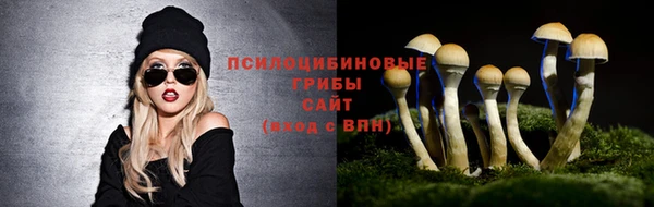 мескалин Балахна