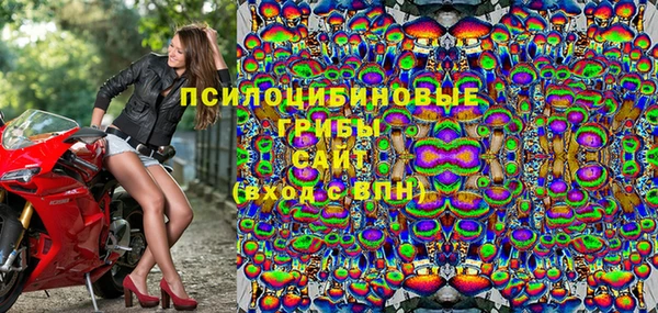винт Нея